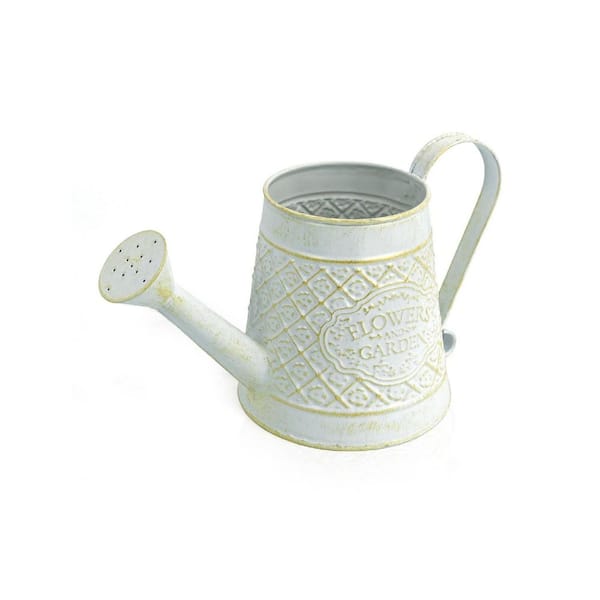 Unbranded 1 gal. White Metal Watering Can for Outdoor Plants Bonsai Outdoor  Garden Flower HPDP4FV898