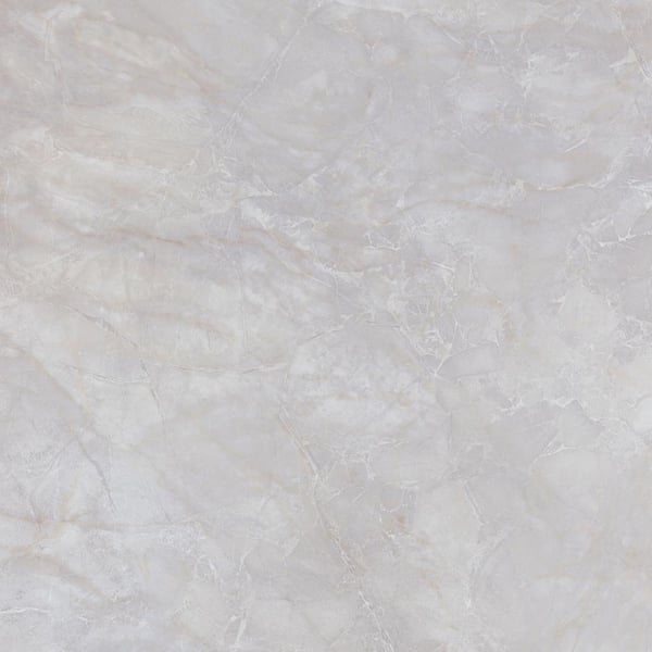 Lifeproof Take Home Sample - Feldspar Onyx Waterproof Luxury Vinyl Plank Flooring