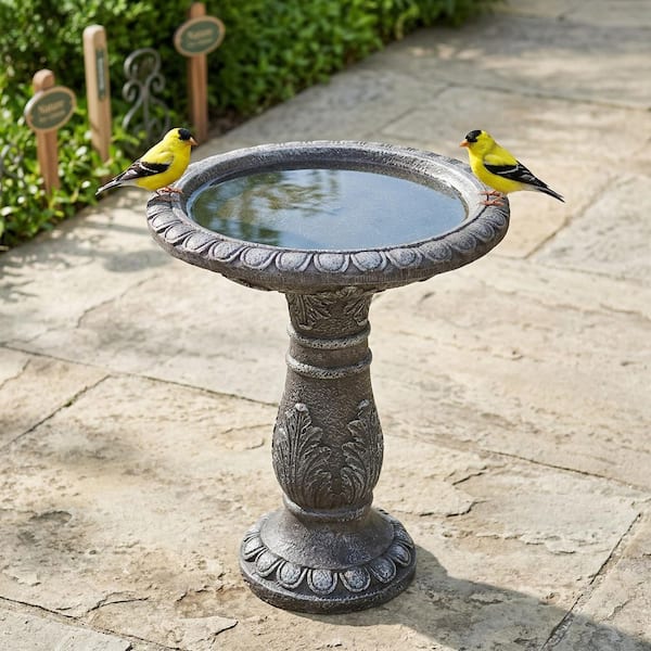 20 in. Dia Vintage Carved Cement Birdbath-Large Outdoor Pedestal Bird Bath for Patio, Garden, or Lawn