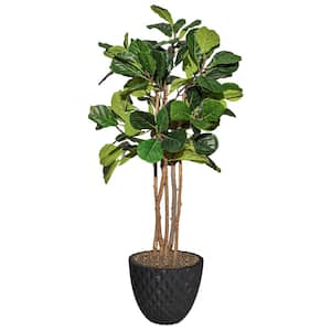 60 in. H Artificial Fig Tree 13.6 in. H Honeycom Planter
