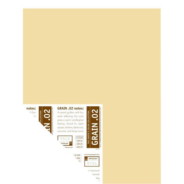 YOLO Colorhouse 12 in. x 16 in. Grain .02 Pre-Painted Big Chip Sample