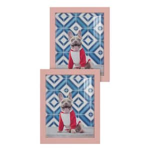 Modern 8 in. x 10 in. Pink Picture Frame (Set of 2)