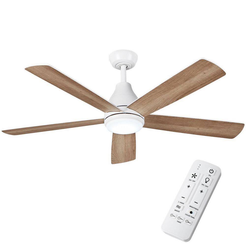 Remote Controlled Ceiling Fan Turns On By Itself Shelly Lighting