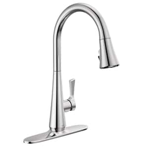 Banks Single-Handle Pull-Down Sprayer Kitchen Faucet with ShieldSpray in Chrome