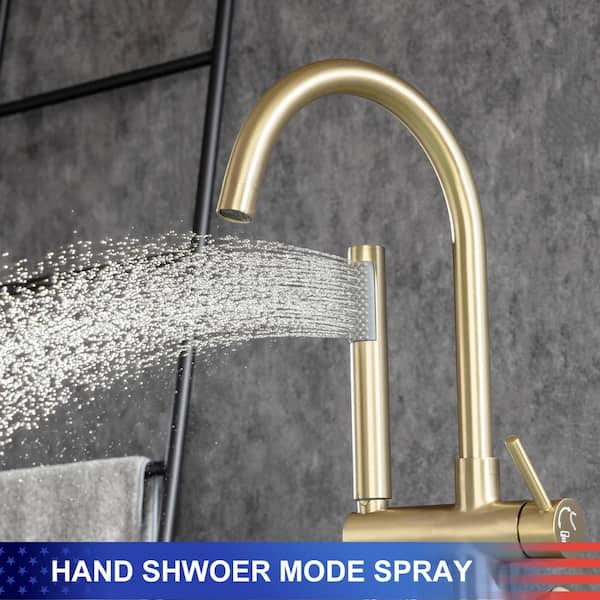 Have a question about RAINLEX Chino Singe-Handle Freestanding