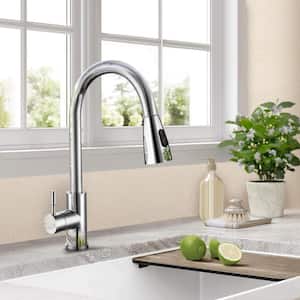 Stainless Steel Single Handle Pull Out Sprayer Kitchen Faucet in Chrome