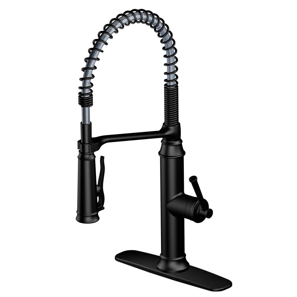 Glacier Bay Linscott Single Handle Coil Spring Neck Pull Down Sprayer