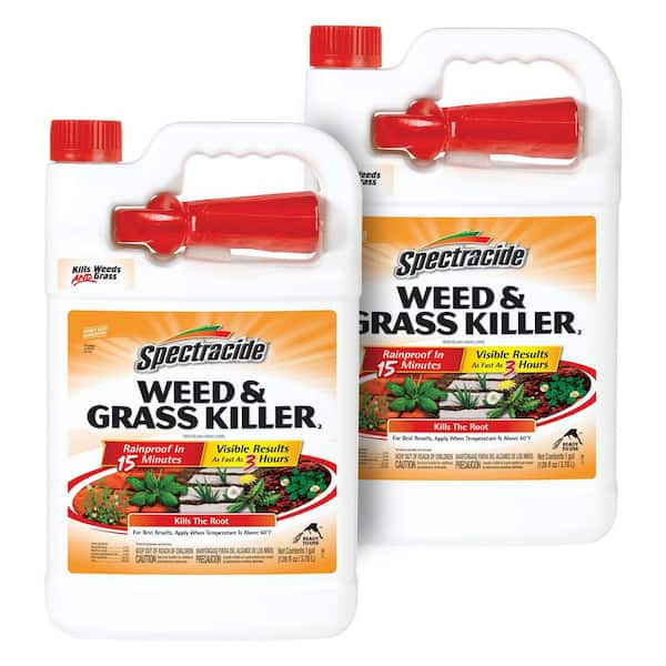 128 oz. Weed and Grass Killer Ready-to-Use Sprayer (2-Pack)