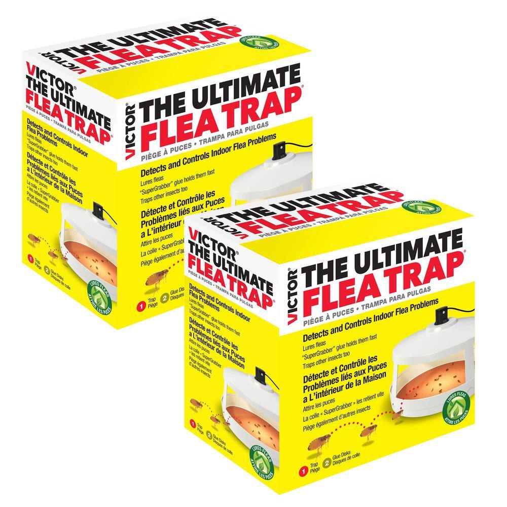 Details about   Victor The Ultimate Flea Trap Detects And Controls Indoor Flea Problems nontoxic 