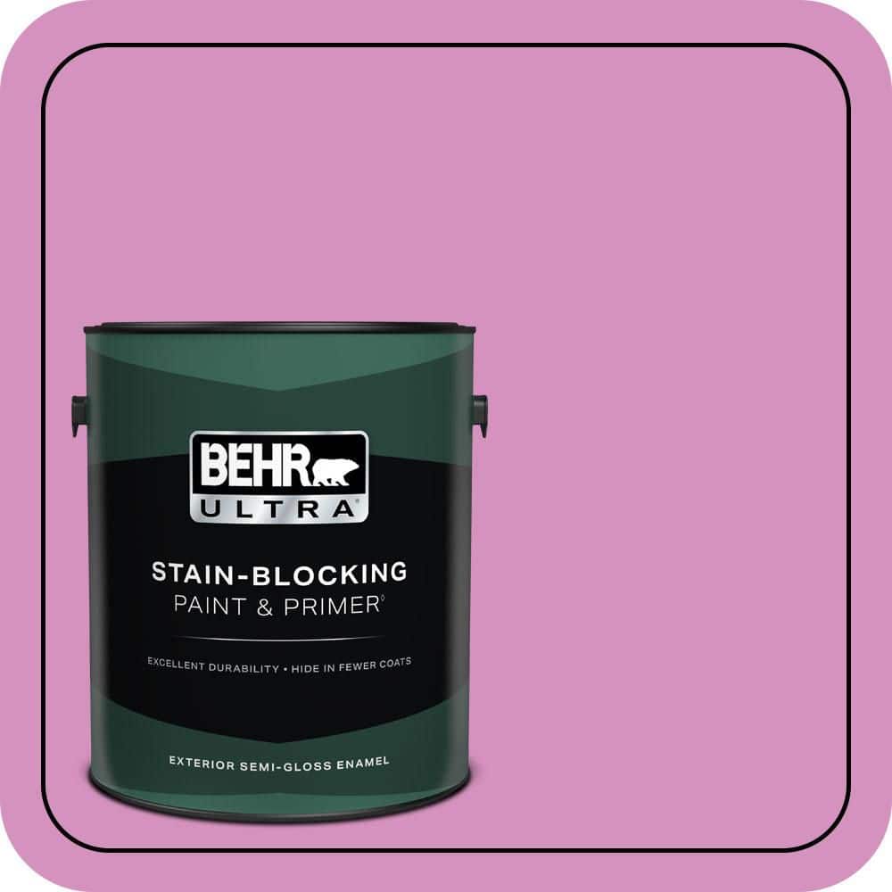 1 gal. #680B-4 Pressed Flower Semi-Gloss Enamel Exterior Paint & Primer price history on PriceWatchPro