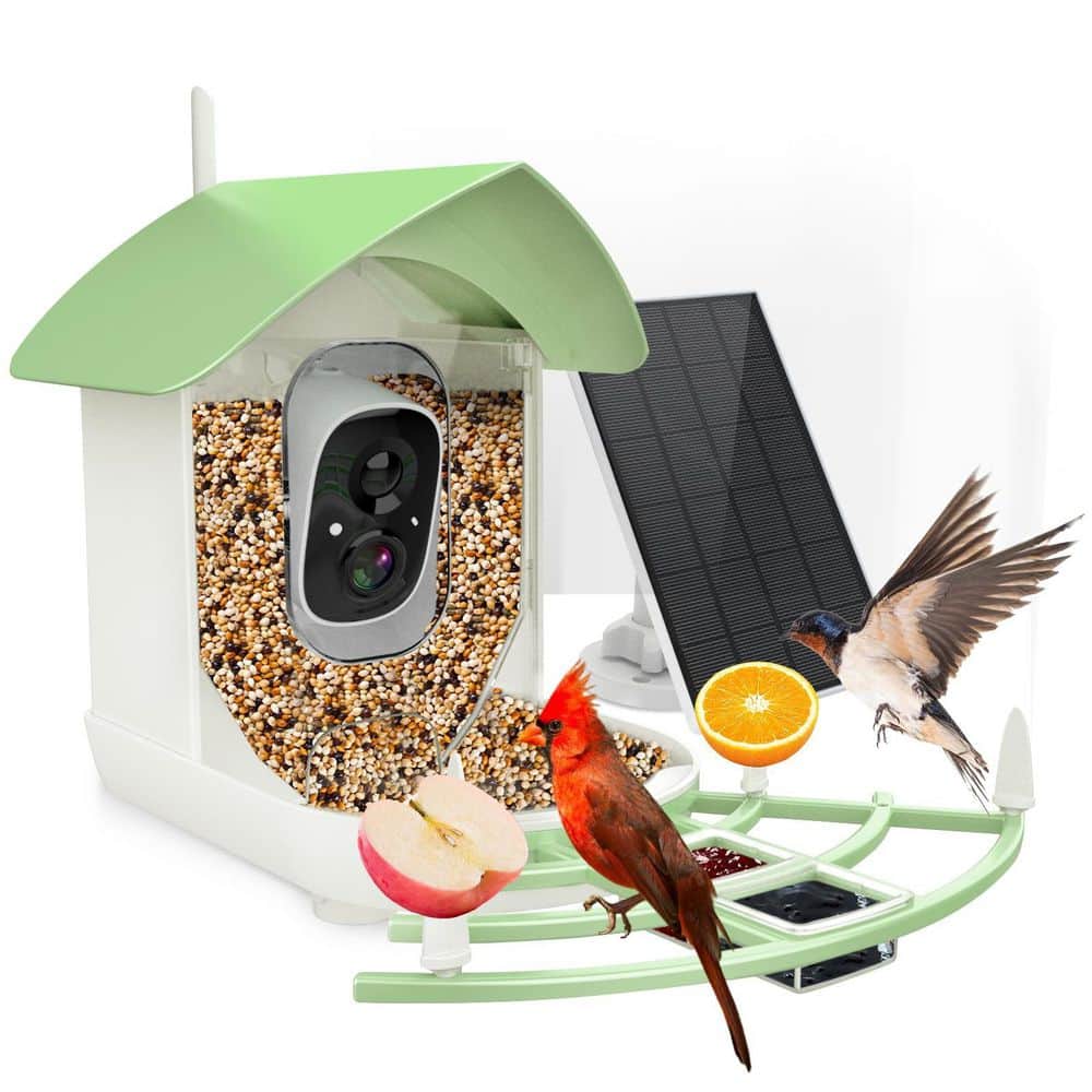 Solar-Powered Plastic Green Smart Bird Feeder with Camera, AI Bird Recognition, Auto Recording, Real-Time Notifications price history on PriceWatchPro
