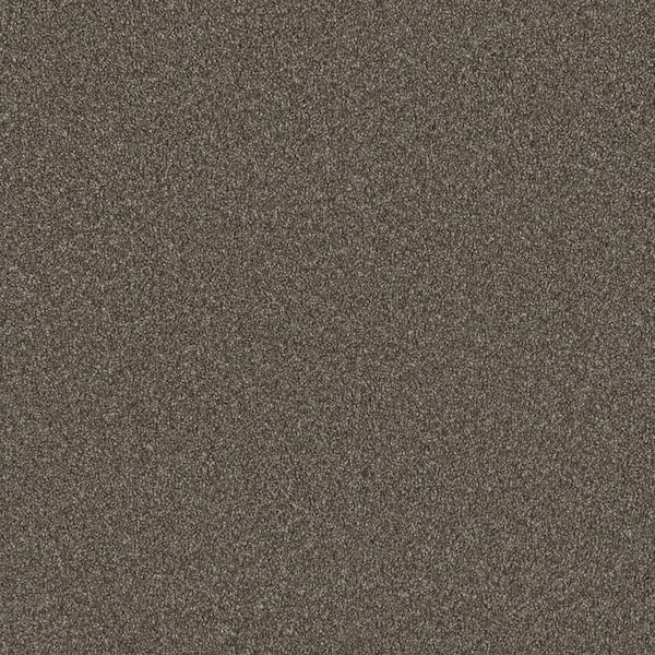 Harpstring I-Linger Brown-60 oz. SD Polyester Texture Carpet - Installation Required