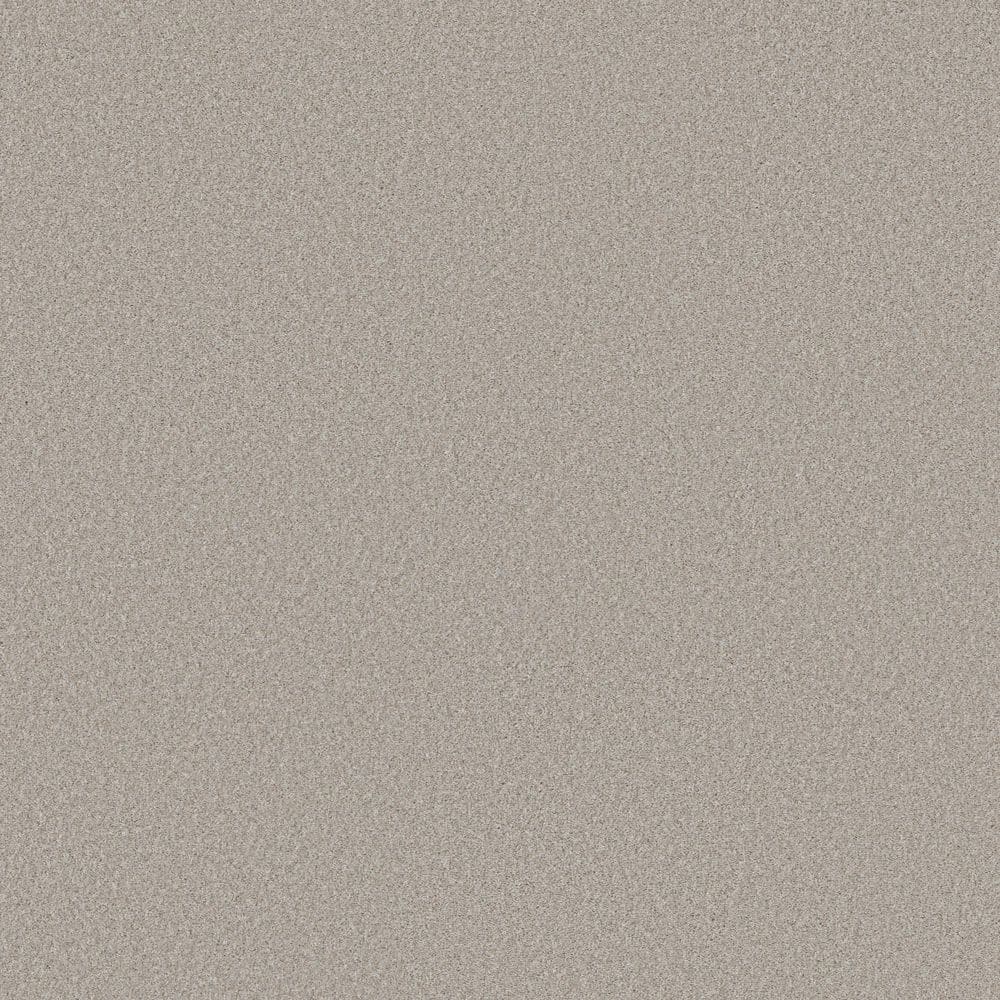 8 in. x 8 in. Texture Carpet Sample - Sculpture Soft I - Color Satin price history on PriceWatchPro