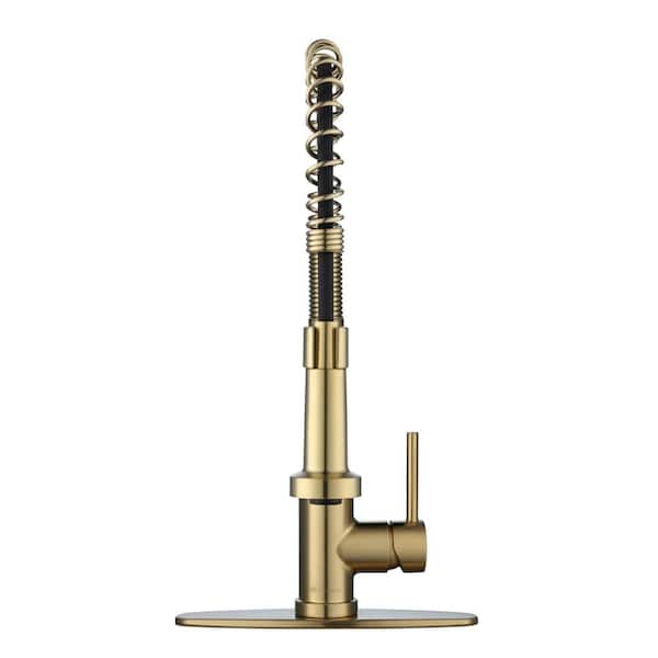 Glacier Bay Riverbend Springneck Single-Handle Pull Down Sprayer