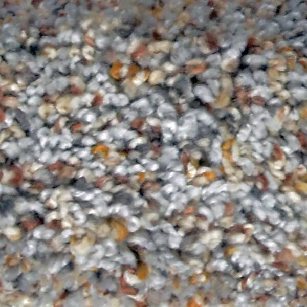 Home Decorators Collection Carpet Sample - Great Moments I (F) - Color Spindrift Texture 8 in. x 8 in.