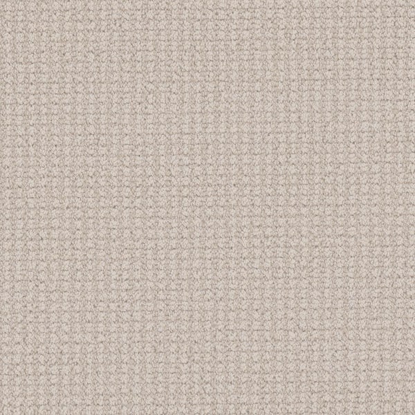 8 in. x 8 in. Pattern Carpet Sample - Shooting Star - Color Celeste