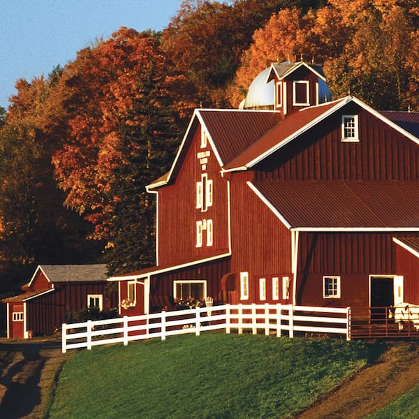 Behr 1 Gal Red Barn And Fence Exterior Paint 02501 The Home Depot - Best Red Barn Paint Color