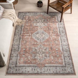 Daleyza Cotton Medallion Rust 5 ft. x 8 ft. Traditional Area Rug