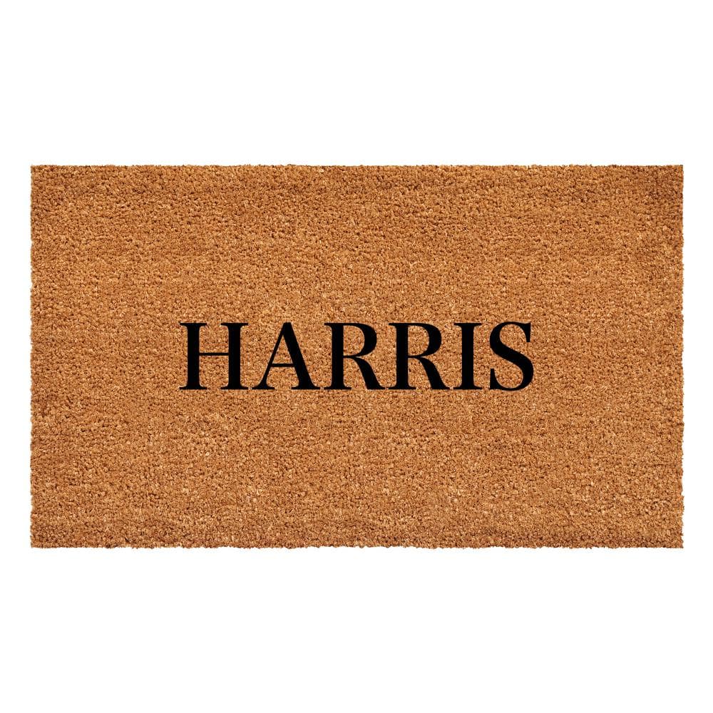 Bold Harris Multi-Colored 24 in. x 36 in. Indoor or Outdoor Doormat price history on PriceWatchPro