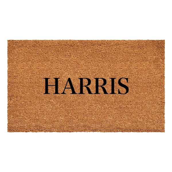 Calloway Mills Bold Harris Multi-Colored 24 in. x 48 in. Indoor or Outdoor Doormat