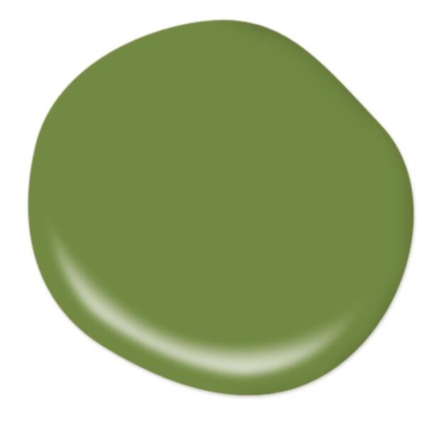 Behr 1B52-6 Kelly Green Precisely Matched For Paint and Spray Paint