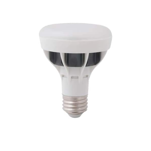 EcoSmart 50W Equivalent Daylight (5000K) BR20 LED Flood Light Bulb