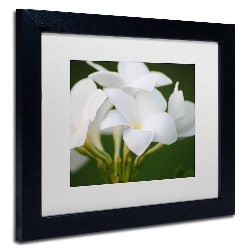 White Flower Giclee Print in Black Frame with White Mat