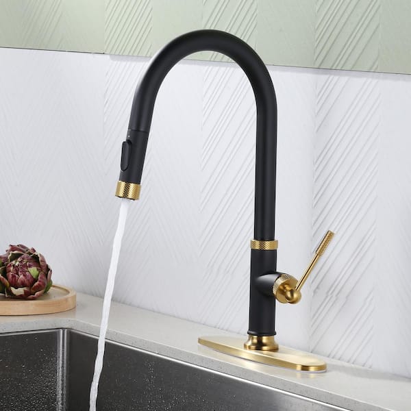 Single Handle Pull Down Sprayer Kitchen Faucet with 2-Water Modes Stainless Steel in Black and Gold