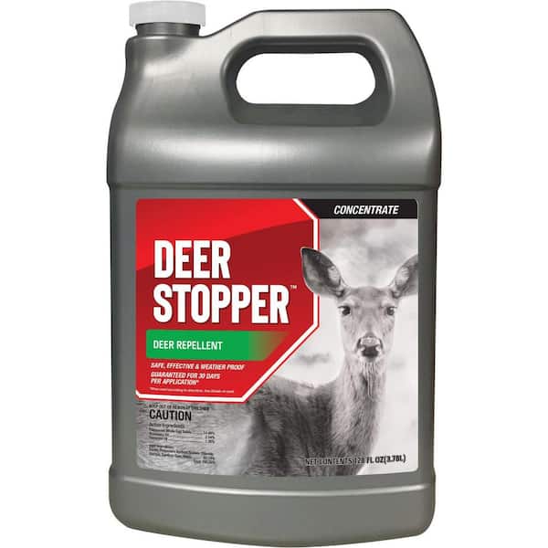 ANIMAL STOPPER Deer Stopper Animal Repellent, 1 Gal. Concentrate