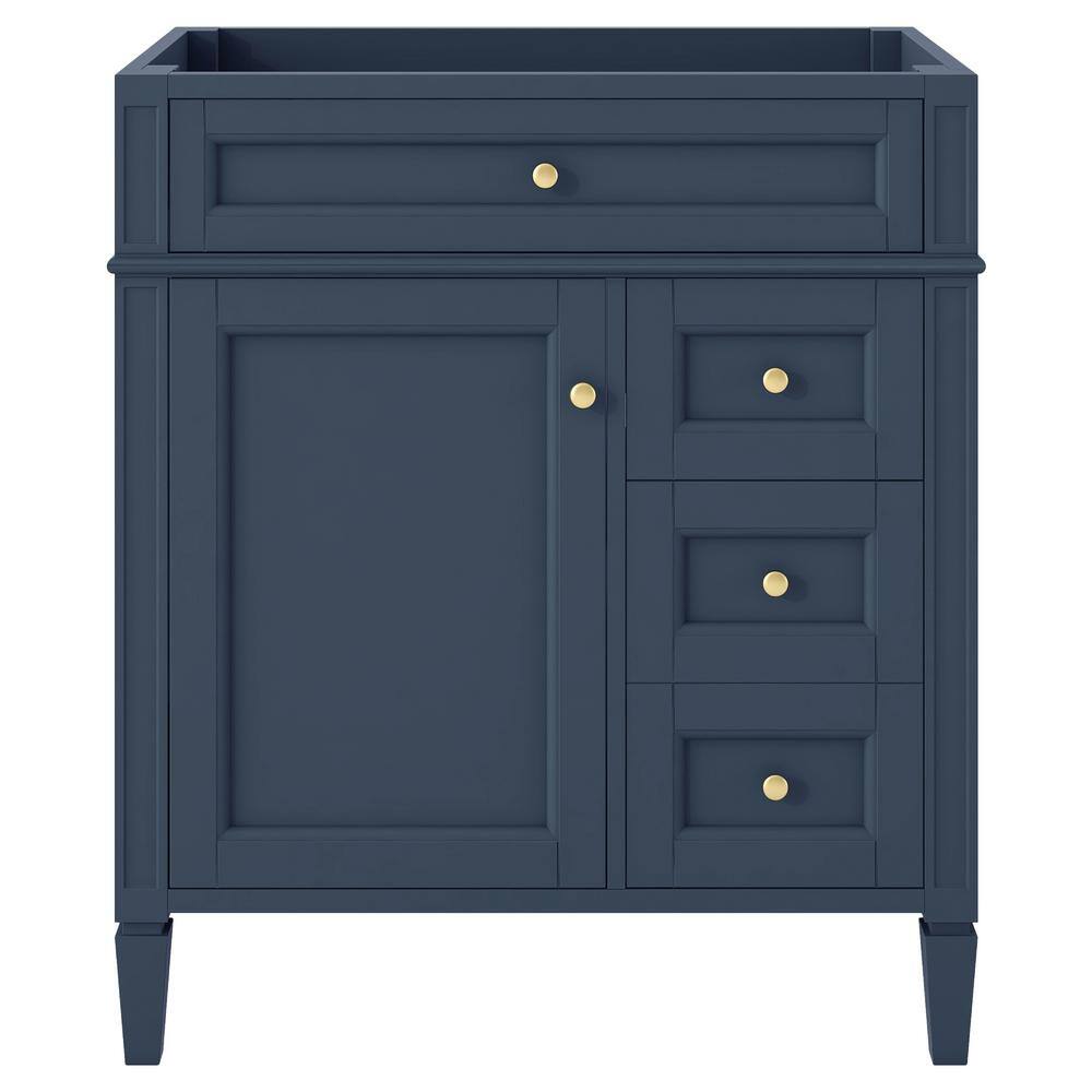 30 in. W x 18 in. D x 33 in. H Bath Vanity Cabinet without Top in Blue
