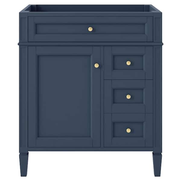 Unbranded 30 in. W x 18 in. D x 33 in. H Bath Vanity Cabinet without Top in Blue
