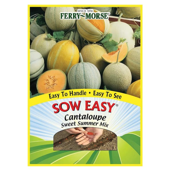 Cantaloupe Sweet Summer Mix Fruit Seed
