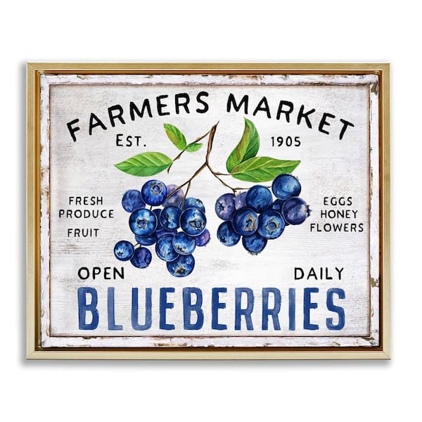 Stupell Industries Farmers Market Blueberries by Creatif Belle Gold Floater Frame Food Graphic Art Print 25 in. x 31 in.