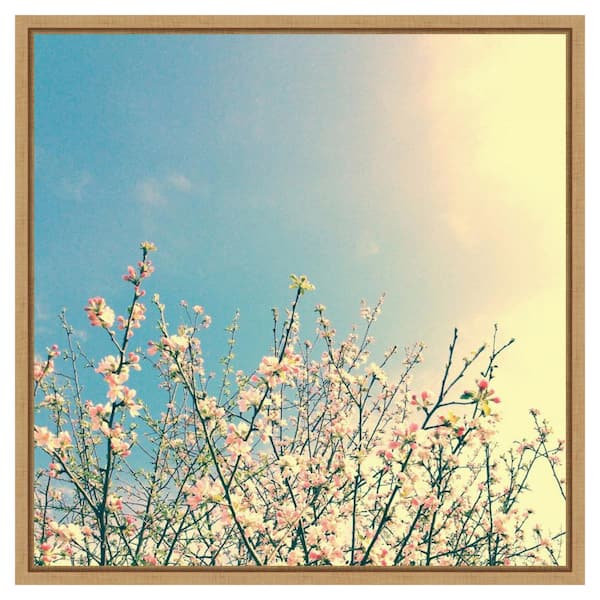 Amanti Art Springing Pink I by Olivia Joy 22 in. W x 22 in. H. Canvas Wall Art Print Framed in Brown