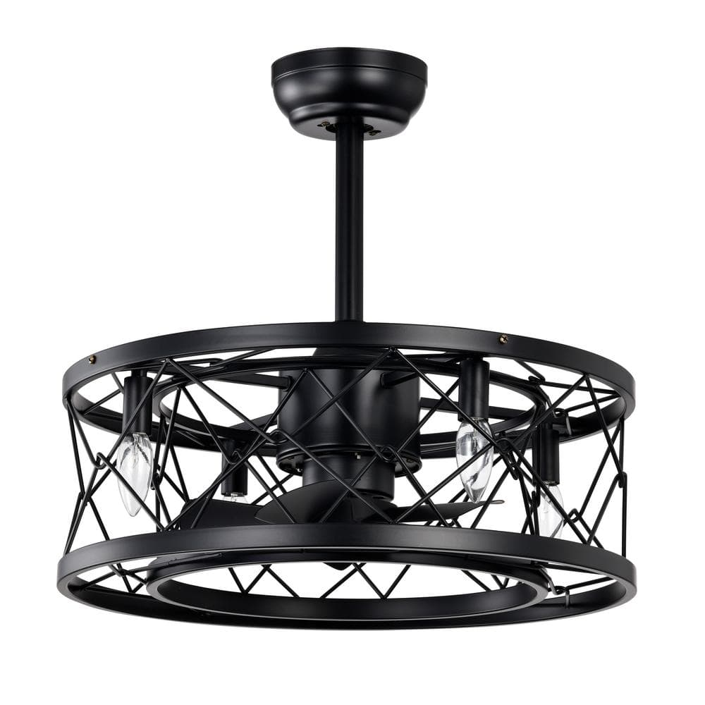 20 in. Smart Indoor Matte Black Cage Ceiling Fan with Remote Control and 5 