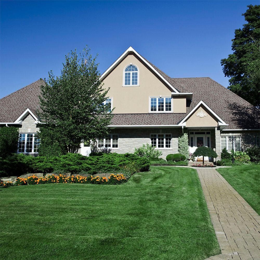 Bluegrass 500 sq. ft. Disease Resistant Sod Pallet