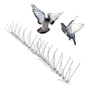 Original Stainless Steel Bird Spikes 100 ft. Pigeons Starlings Blackbirds Seagulls 6 in. Coverage
