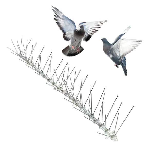 Bird-X Original Stainless Steel Bird Spikes 100 ft. Pigeons Starlings Blackbirds Seagulls 6 in. Coverage