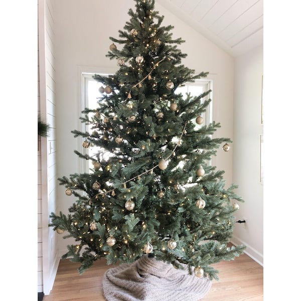 Buy 7.5ft. PreLit Foxtail Pine Green Artificial Christmas Tree, Clear