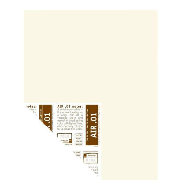 YOLO Colorhouse 12 in. x 16 in. Air .01 Pre-Painted Big Chip Sample