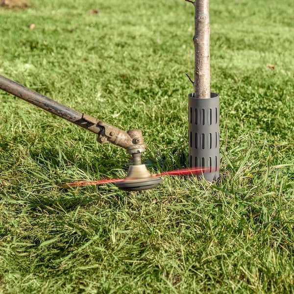 9 in. H x 12.5 in. W Expandable Plastic Tree Bark Guard