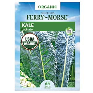 Organic Kale Lacinato Vegetable Seed