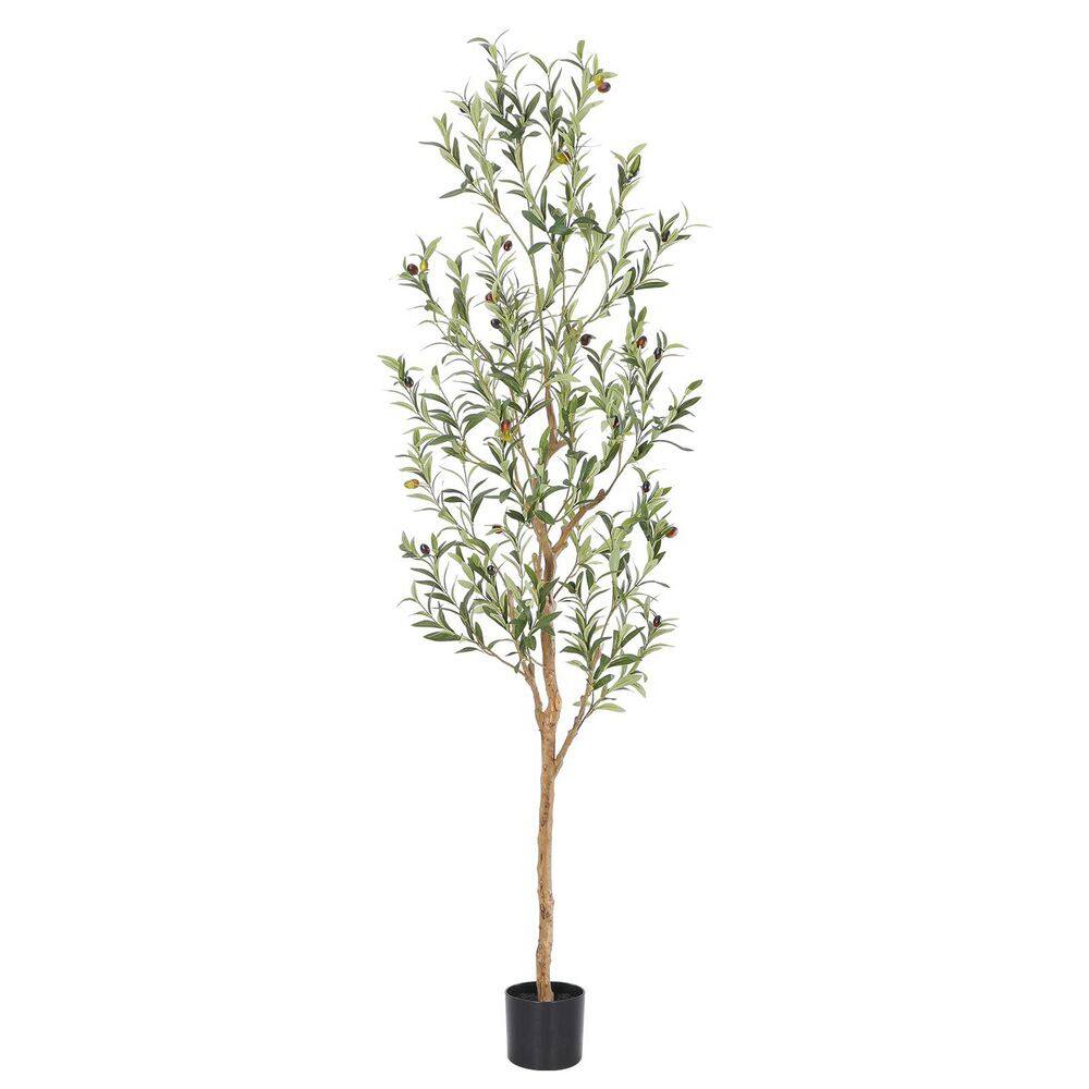 6 ft. Artificial Olive Tree in Pot, Faux Olive Tree with Natural Wood Trunk