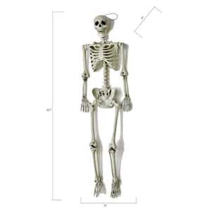 60 in. Halloween Life Size Hanging Skeleton