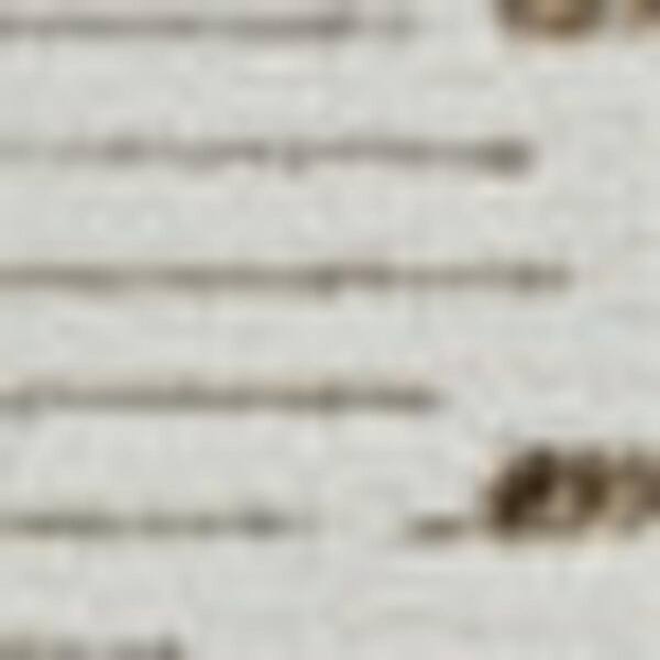 Beige, Brown 5 ft. x 7 ft. Woven Geometric Polypropylene Rectangle Indoor/Outdoor Area Rug