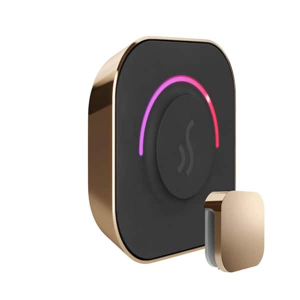 TempoTouch Steam Shower Control and Steamhead in Polished Gold