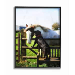 11 in. x 14 in. "Colorful Farm Horse and Dog Photo" by Villager Jim Framed Wall Art