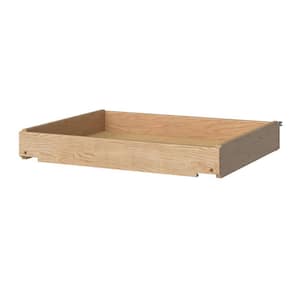 Shaker Partial Overlay 25.75 in. W x 21 in. D x 3.5 in. H Roll Out Tray