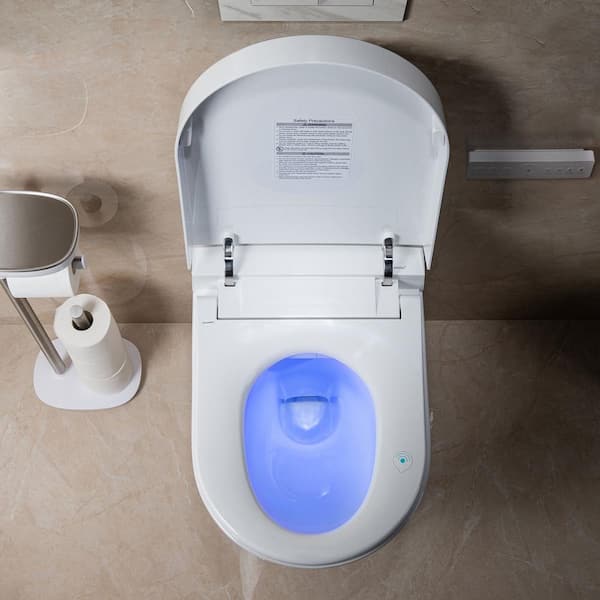 ᐅ【WOODBRIDGE Wall Hung 1.60 GPF/0.8 GPF Dual Flush Elongated Toilet with In- Wall Tank and Carrier System. F0130 + WHTA001-WOODBRIDGE】