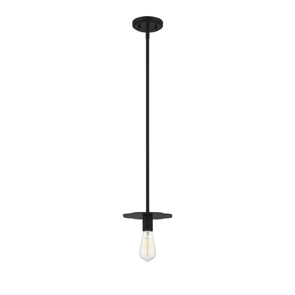 Matte Black Mini Pendant Light with Adjustable Height